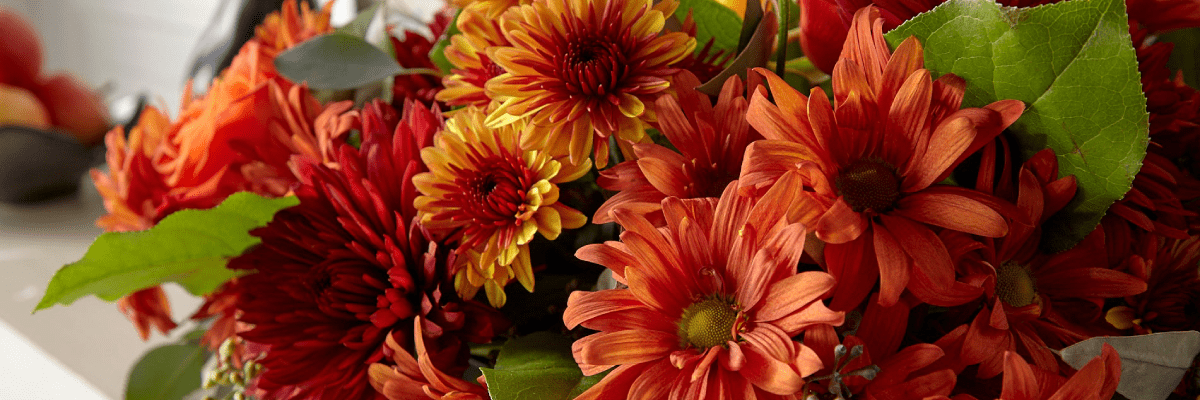 Seasonal Flowers